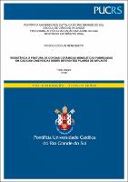 DIS_PRISCILA_CEOLIN_MENEGHETTI_COMPLETO.pdf.jpg